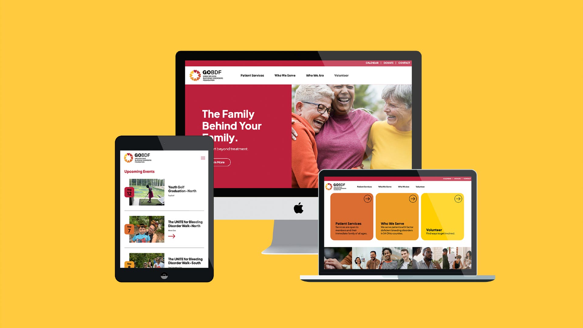 GOBDF website design
