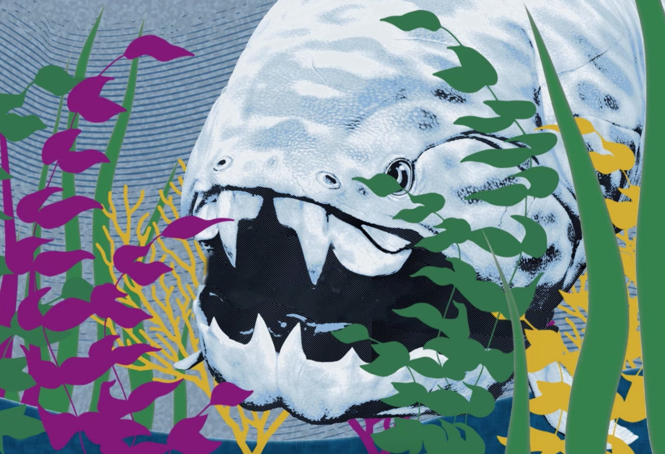 large fish in ocean illustration