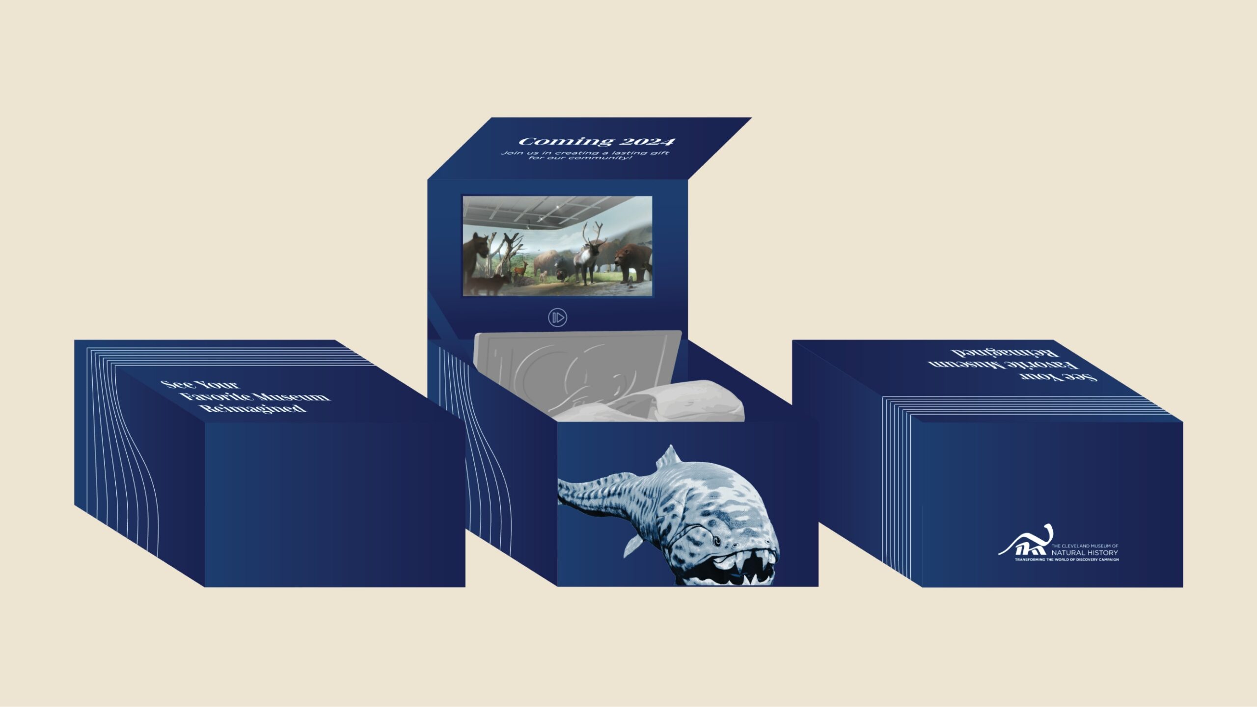 blue direct mail box